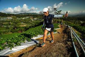 BIB: 
                            <button type="button" onclick="openModal(19125246)" class="btn btn-primary btn-sm float-right btn-popup" data-toggle="modal" data-target=".modal-high-quality">
                        <i class="fas fa-shopping-cart"></i> Add to Cart
                    </button>
                                            <button type="button" onclick="isThisMe(19125246, true)" class="btn btn-success btn-sm float-right btn-popup btn-isme hidden" data-toggle="tooltip" data-placement="bottom" title="นี่คือรูปของคุณใช่ไหม คลิกที่นี่เพื่อเอาเข้าอัลบั้ม">
                        <i class="fas fa-plus"></i> Add to album
                    </button>
                    <button type="button" onclick="isThisMe(19125246, false)" class="btn btn-warning btn-sm float-right btn-popup btn-isnotme hidden">
                        <i class="fas fa-ban"></i> Remove from album
                    </button>